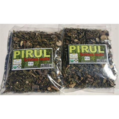 Pirul Piru Hojas De Pirul Arbol De Pirul Schinus Molle Peppercorn