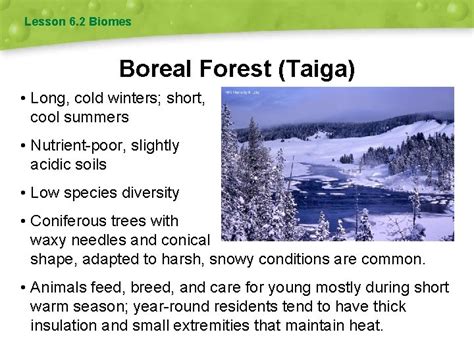 Chapter Biomes And Aquatic Ecosystems Lesson