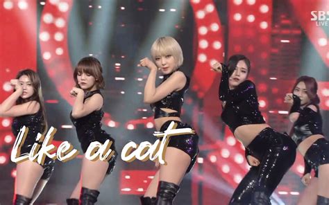 Aoa Like A Cat Bilibili