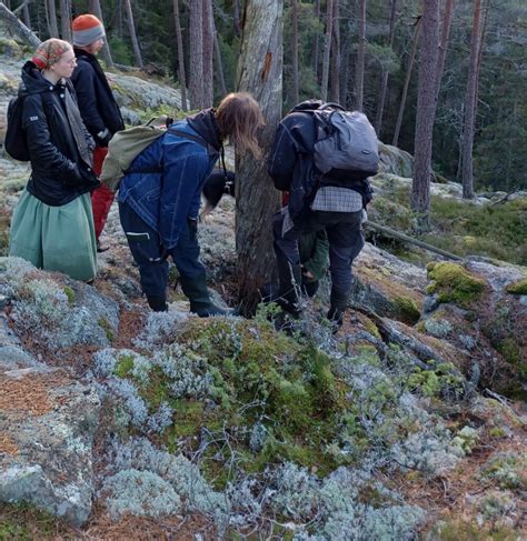 Inventera skog med Uppsala Fältbiologer Fältbiologerna