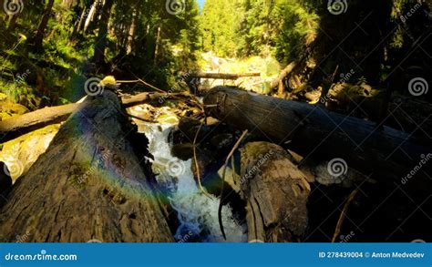 Mountain Green Forest Water Cascade At Summertime Sightseer Experience