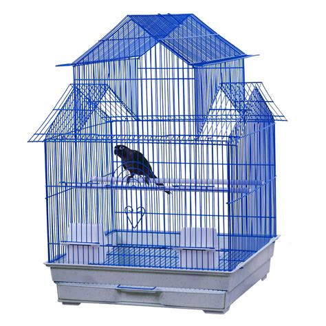 Blue Bird Cage Ubicaciondepersonascdmxgobmx