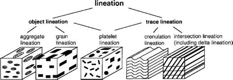 Sir, kindly differentiate mineral lineation and mineral grain lineation