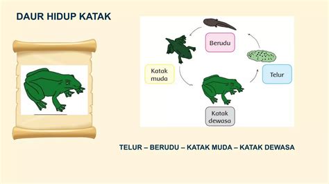 Tema 1 Kelas 3 Pertumbuhan Dan Perkembangan Hewan PPT