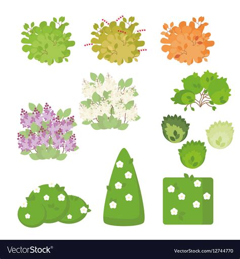 Set Of Outdoor Plants And Shrubs With Flowers Vector Image