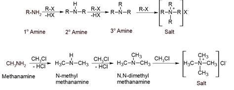 Amines Neb Grade 12 Notes Organic Chemistry Sajha Notes