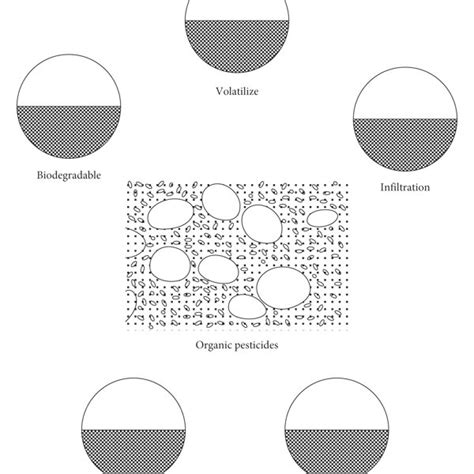 The Fate Of Pesticides In The Soil Environment Download Scientific