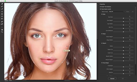 Face Liquify Tool in Photoshop- Change that Face Structure ...