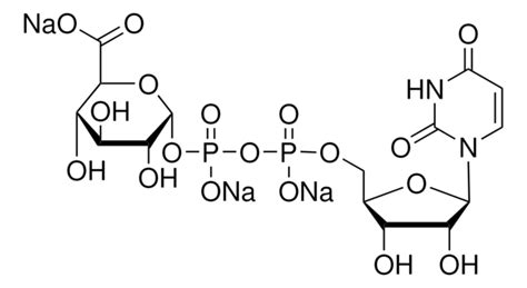 尿苷 5 二磷酸 N 乙酰葡糖胺 钠盐 ≥98 Sigma Aldrich