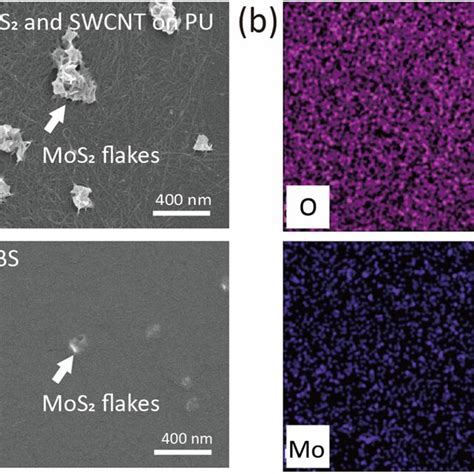 A Scanning Electron Microscopy Sem Images Of Mos Swcnt On Pu And