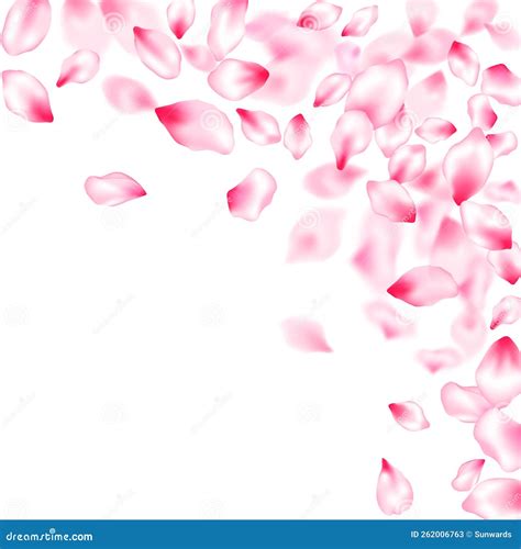 Pink Cherry Blossom Petals Isolated Stock Vector Illustration Of