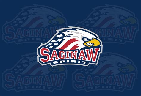 Saginaw Spirit Fall To Sarnia Sting, Garret Ross And Vince Trocheck ...