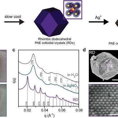 A Schematic Illustrating The Synthesis Of Agstabilized Pae Crystals