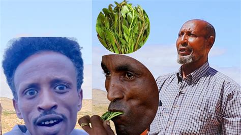 Dhibaato Aan Ku Soo Arkay Gobol Oo Somaliya Ah Tusaale Oo