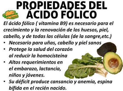 Propiedades Del Acido Fólico Botanical Online