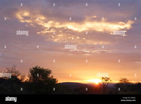 golden light   african sunset stock photo alamy