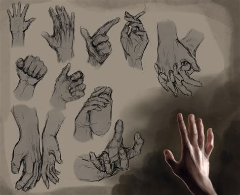 Artstation Hand Reference Sheet 2020