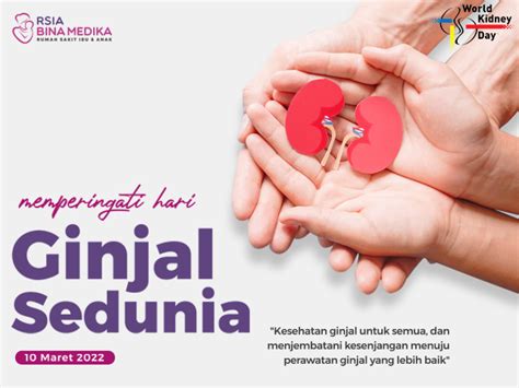 CEGAH PENYAKIT GINJAL SEBELUM TERLAMBAT RSIA BINA MEDIKA