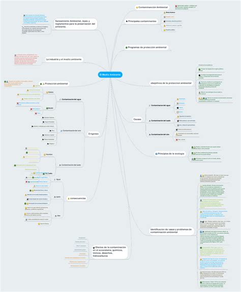 Mapas Mentales Del Medio Ambiente