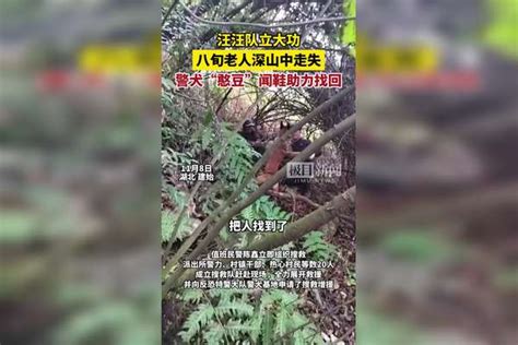 汪汪队立大功，八旬老人深山中走失，警犬“闻鞋”找回