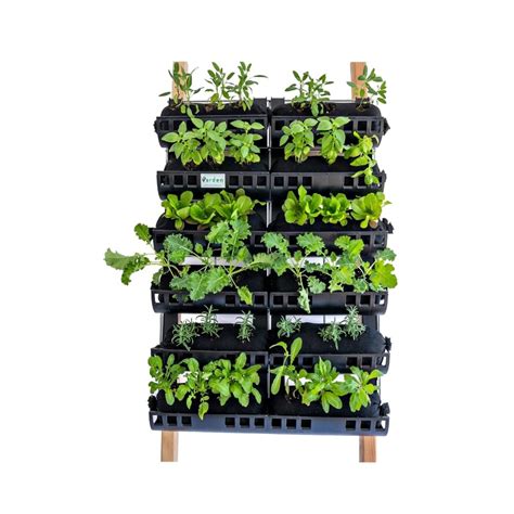 DIY Vertical Farming — Green City