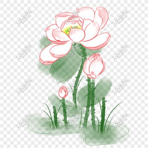 Hand Painted Ink Illustration Lotus Png Free Material Hand Painted