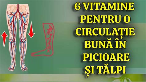 Vitamine Ce Stimuleaz Circula Ia N Picioare I T Lpi Instantaneu