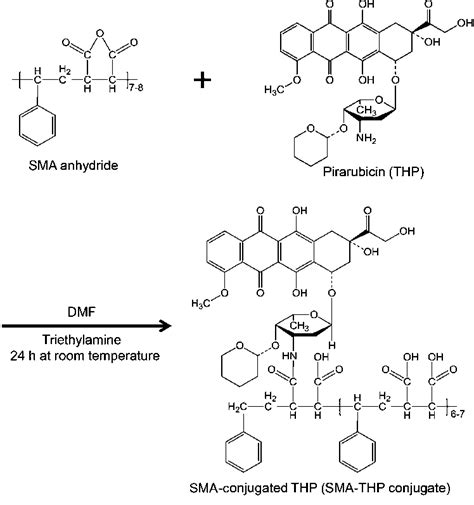 Synthesis Of Styrene Maleic Acid Copolymer SMA Conjugated Pirarubicin