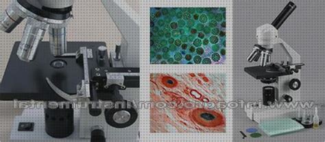 Mejores Microscopios Optico X Mes Comparativa