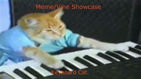 Keyboard Cat Memevine Showcase Youtube