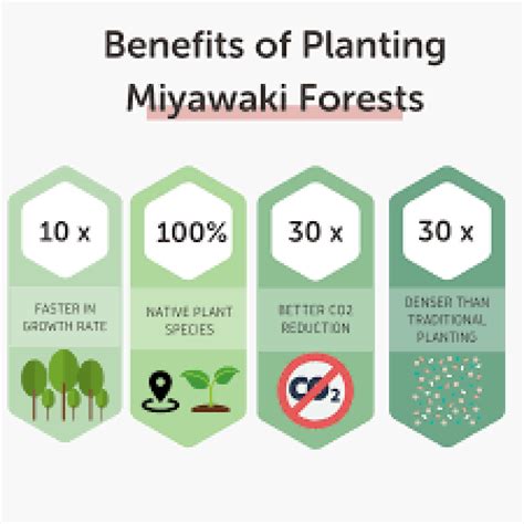 Miyawaki Forest Planting Ferris Elementary School