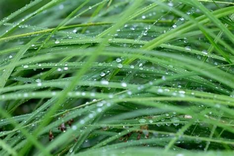 Kostenlose Bild Regen nass fenster beschaffenheit wand städtisch