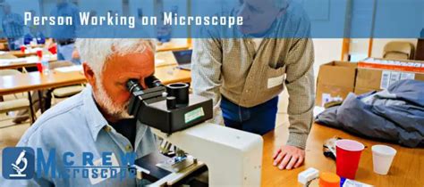 How To Calibrate A Microscope Microscope Crew