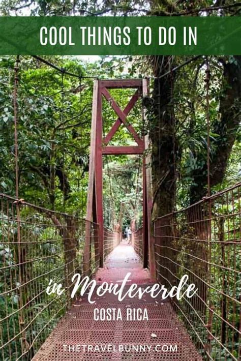 Epic Things To Do In Monteverde Costa Rica The Travelbunny