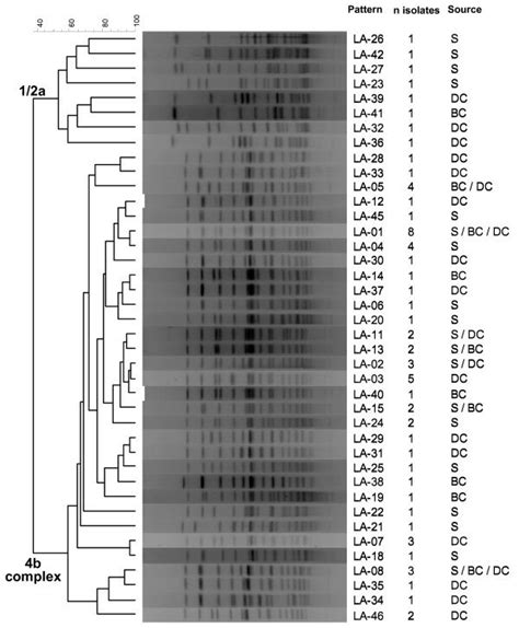 Dendrogram Upgma Of All The Different L Monocytogenes Apai Pfge