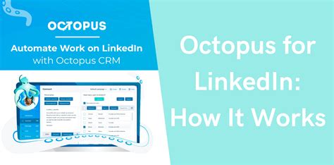 Octopus For Linkedin How It Works Octopus Crm