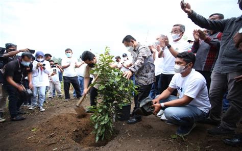 Lestarikan Danau Toba Menteri Erick Thohir Dan BUMN Targetkan Tanam