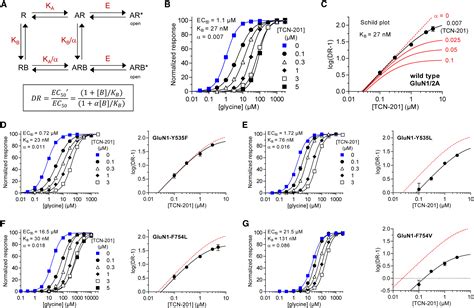 Structural Basis For Negative Allosteric Modulation Of GluN2A