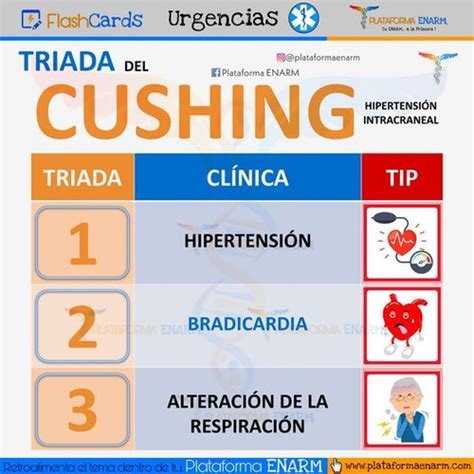 Fichas de aprendizaje Hipertensión intracraneal Quizlet