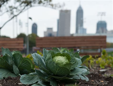 The Rise of the Urban Farmer Means Startup Opportunity | StarterNoise