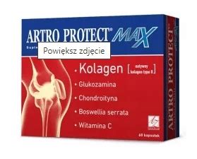 Artro Protect MAX 60 kapsułek 10049622958 Allegro pl