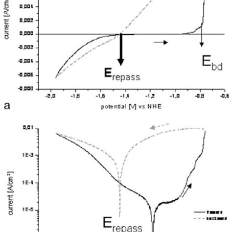 Example Of Potentiodynamic Polarization Curves For Pure Magnesium In A