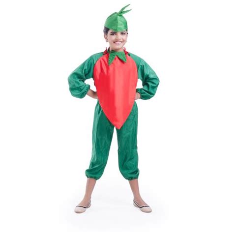 chilly costume for costume online at low price online – fancydresswale.com