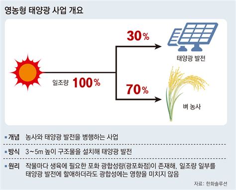 “논에 영농형태양광 설치하면 농가소득 최대 6배 늘어” 비즈n