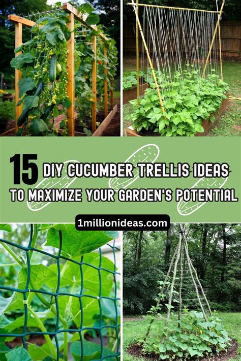 15 Diy Cucumber Trellis Ideas To Maximize Your Gardens Potential