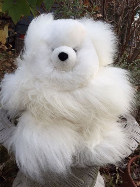 Alpaca Teddy Bears White Alpaca Boom