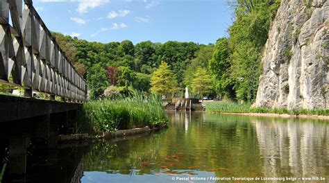 Vallée De Lourthe Ardennes Belges