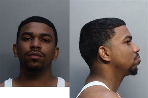 Paulino John Micheal Miami Dade County Mugshots Zone