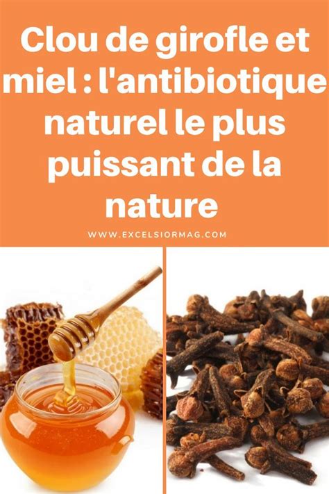 Clou De Girofle Et Miel L Antibiotique Naturel Le Plus Puissant De La