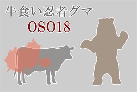 標茶町のカメラが捉えた「oso18」の立ち上がり姿、驚異の2～2．2mの大きさ じじネタ Show Time